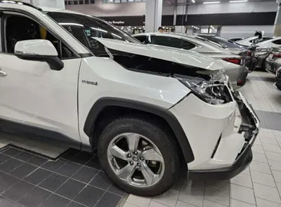 2019 Toyota RAV4 VIN: