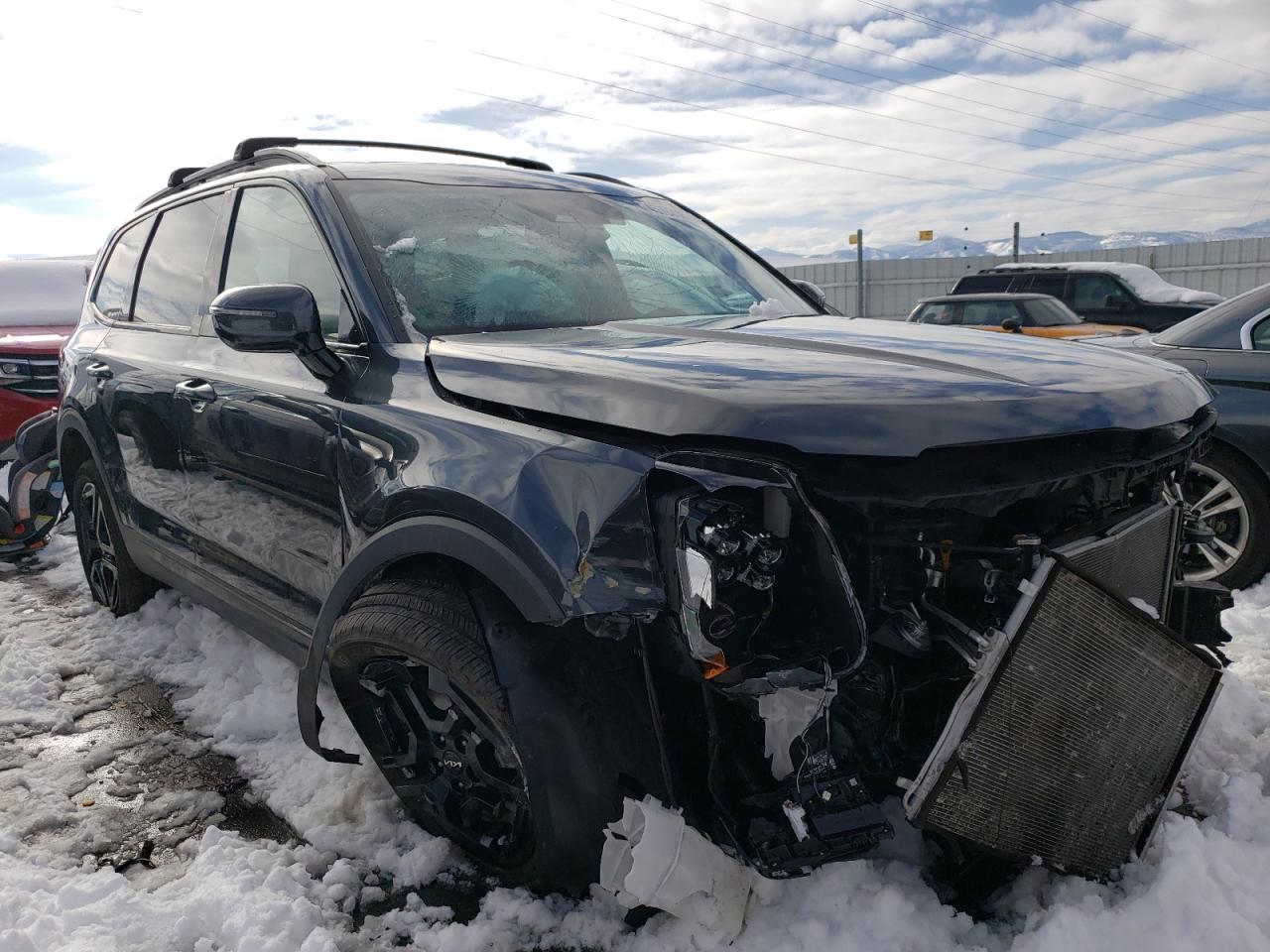 2023 KIA TELLURIDE SX VIN:5XYP5DGC6PG409728