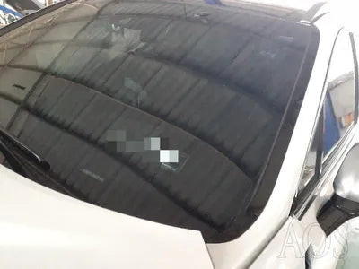 2019 Hyundai Santa FE KMHS581ABLU247207 VIN:KMHS581ABLU247207