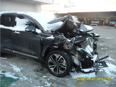 2019 Hyundai Santa FE KMHS381CDKU010058 VIN:KMHS381CDKU010058