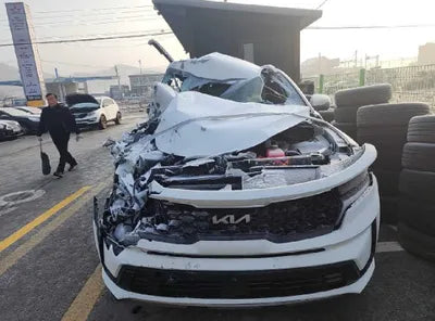2023 Kia Sorento KNARK81GBPA167065 VIN:KNARK81GBPA167065