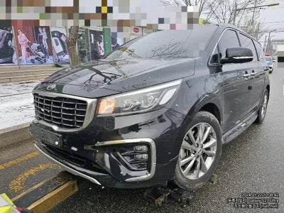 2019 Kia Carnival KNAMC81ABKS602627 VIN:KNAMC81ABKS602627