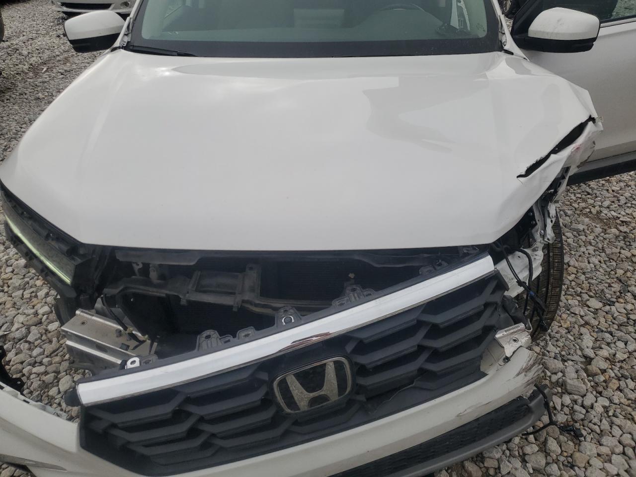 2023 HONDA PILOT EXL VIN:5FNYG1H59PB032798