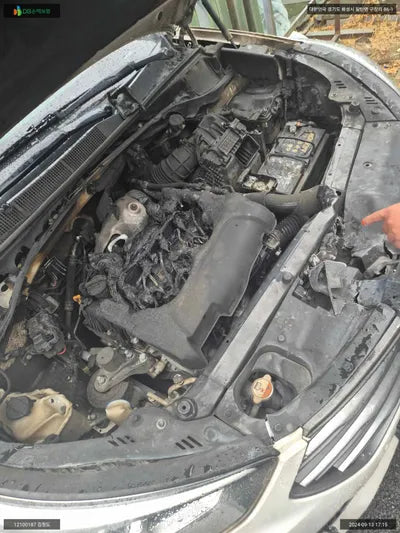 2016 Hyundai Santa FE KMHSW81XDGU687616 VIN:KMHSW81XDGU687616