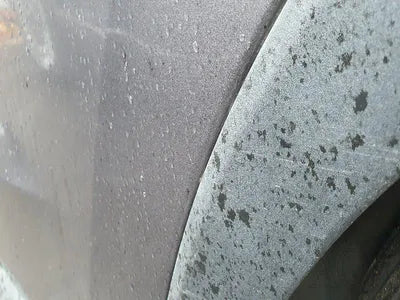 2019 Hyundai Santa FE KMHS281BBKU160055 VIN:KMHS281BBKU160055