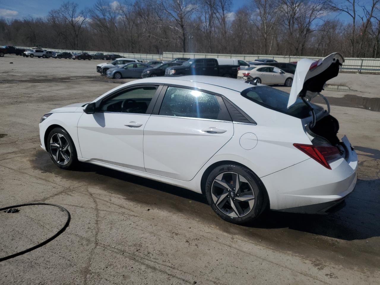 2023 HYUNDAI ELANTRA LIMITED VIN:KMHLN4AJ5PU048637