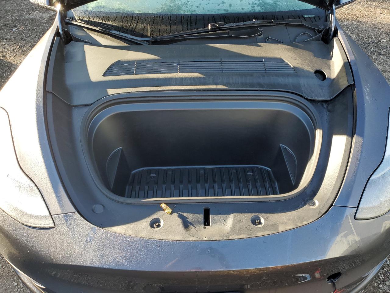 2023 TESLA MODEL Y  VIN:LRWYGDFD5PC221356