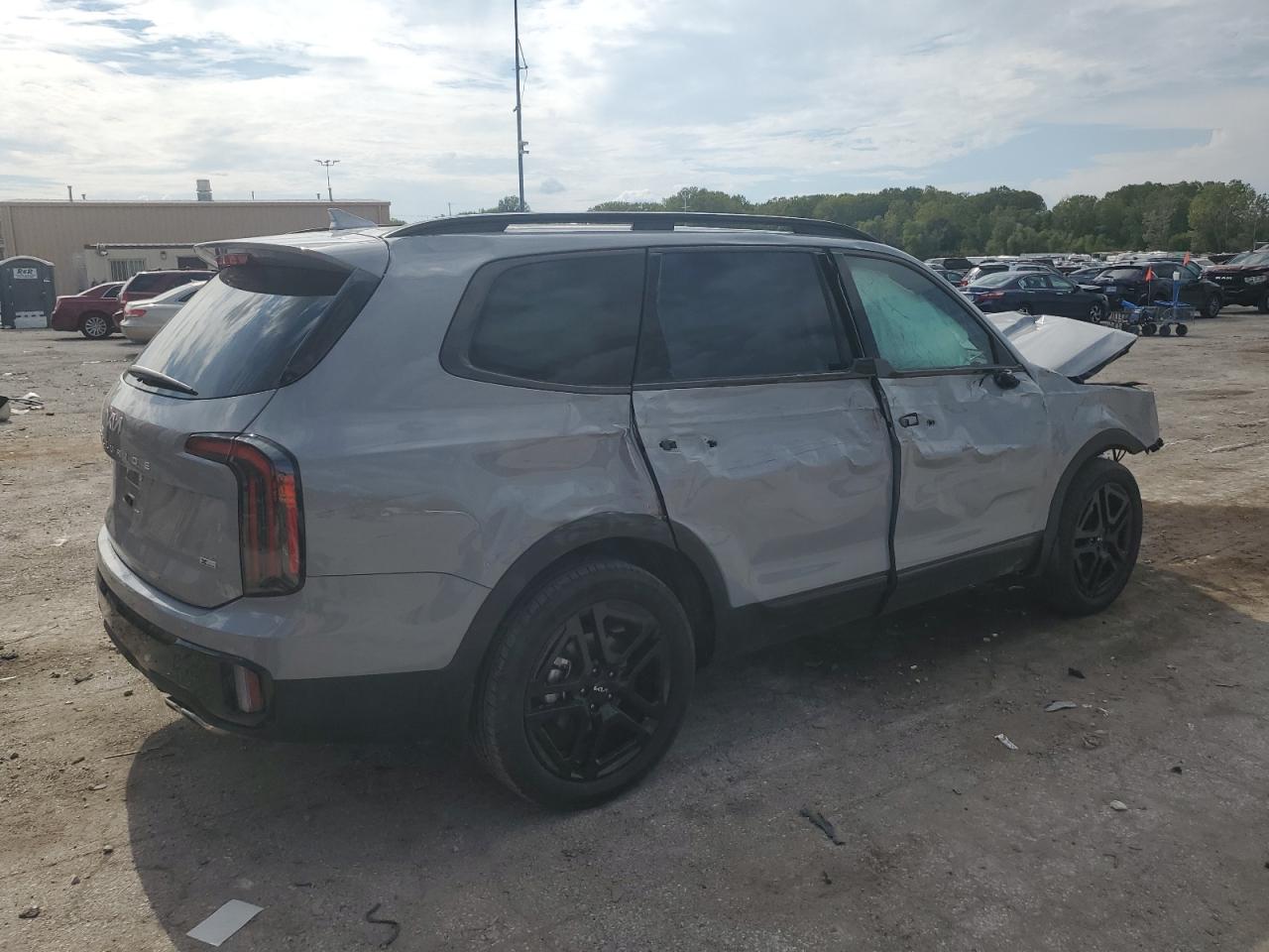 2024 KIA TELLURIDE EX VIN:5XYP3DGC9RG491365