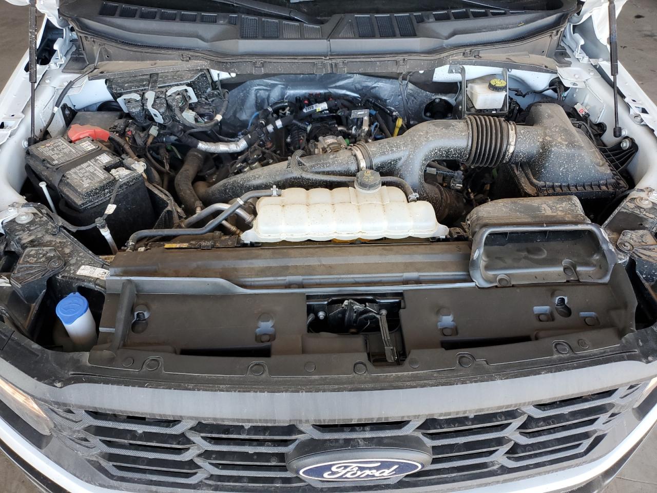 2024 FORD F150 XL VIN:1FTEW1LP3RKD70640