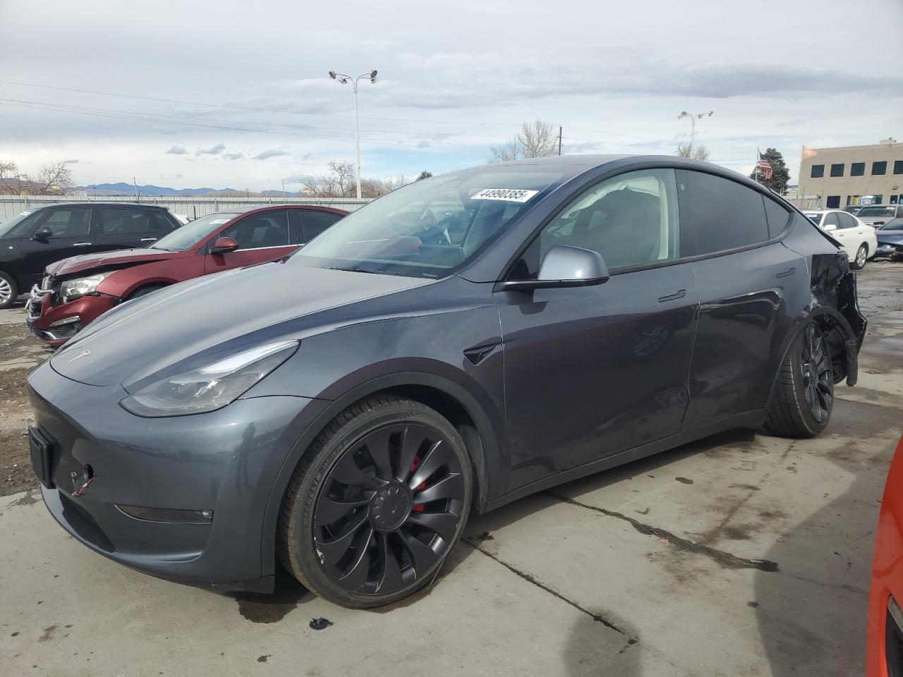 2023 TESLA MODEL Y  VIN:7SAYGDEF9PF695810