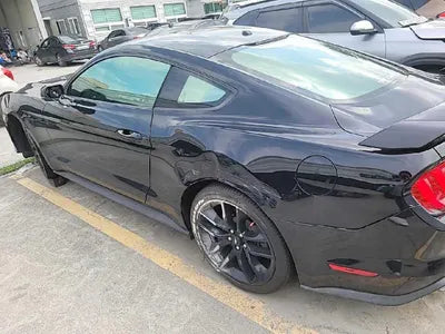 2019 Ford Mustang 571KM1FA6P8TH5K51 VIN:571KM1FA6P8TH5K51