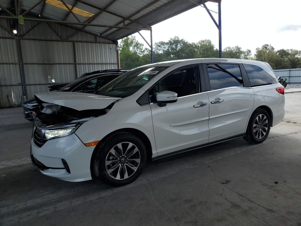 2024 HONDA ODYSSEY EXL VIN:5FNRL6H69RB014584