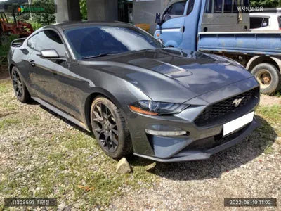 2019 Ford Mustang 1FA6P8TH4K5190709 VIN:1FA6P8TH4K5190709