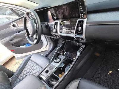 2020 Kia Sorento KNAPG81BBLA569568 VIN:KNAPG81BBLA569568