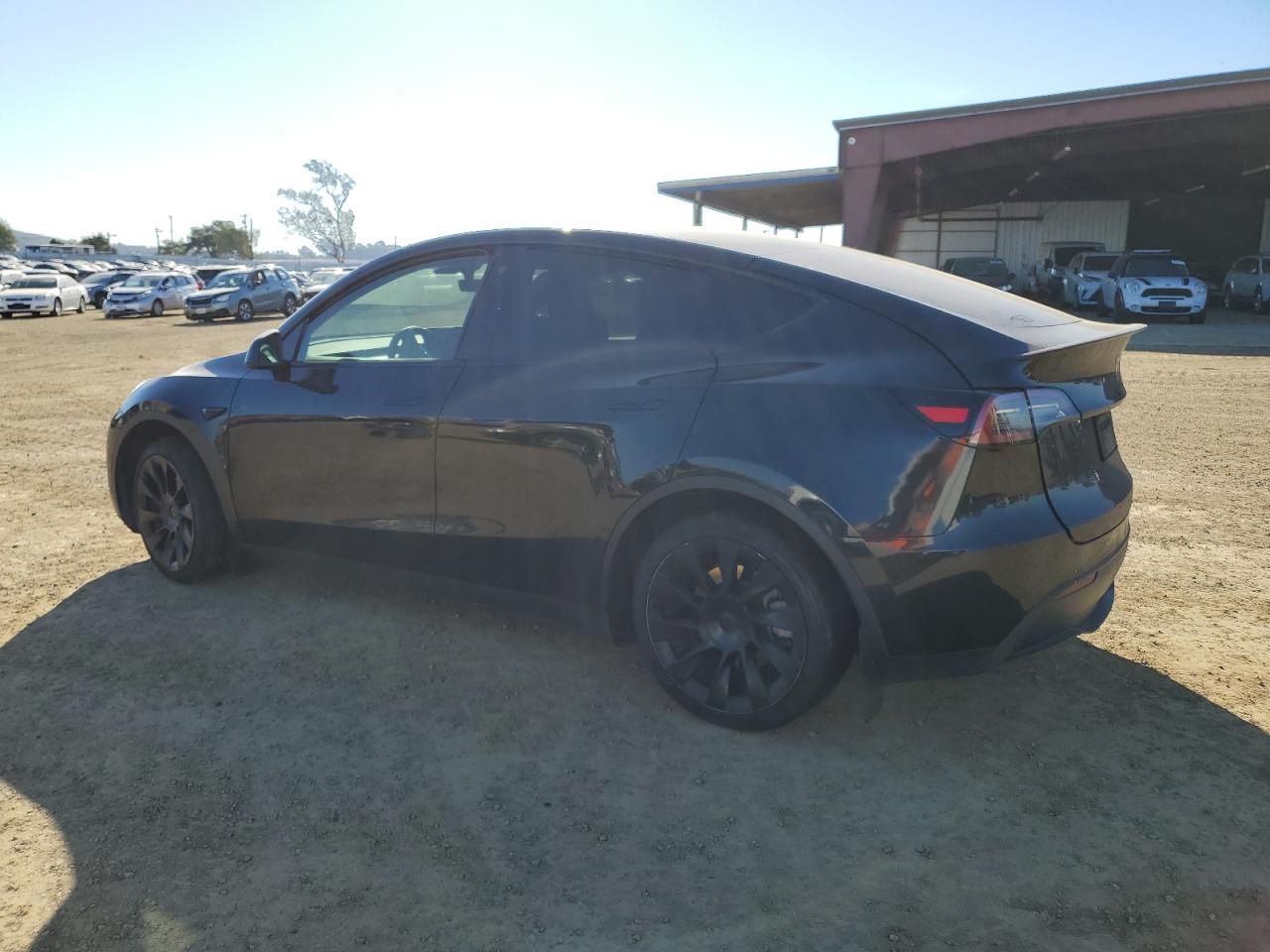 2023 TESLA MODEL Y  VIN:7SAYGAEEXPF710790