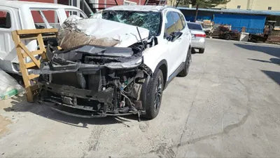 2019 Hyundai Santa FE 335KMKMHS381BBKU0 VIN:335KMKMHS381BBKU0