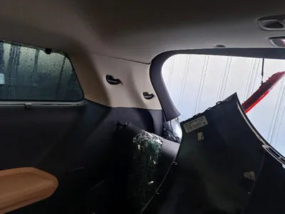 2021 Kia Carnival KNANE813BMS052570 VIN:KNANE813BMS052570