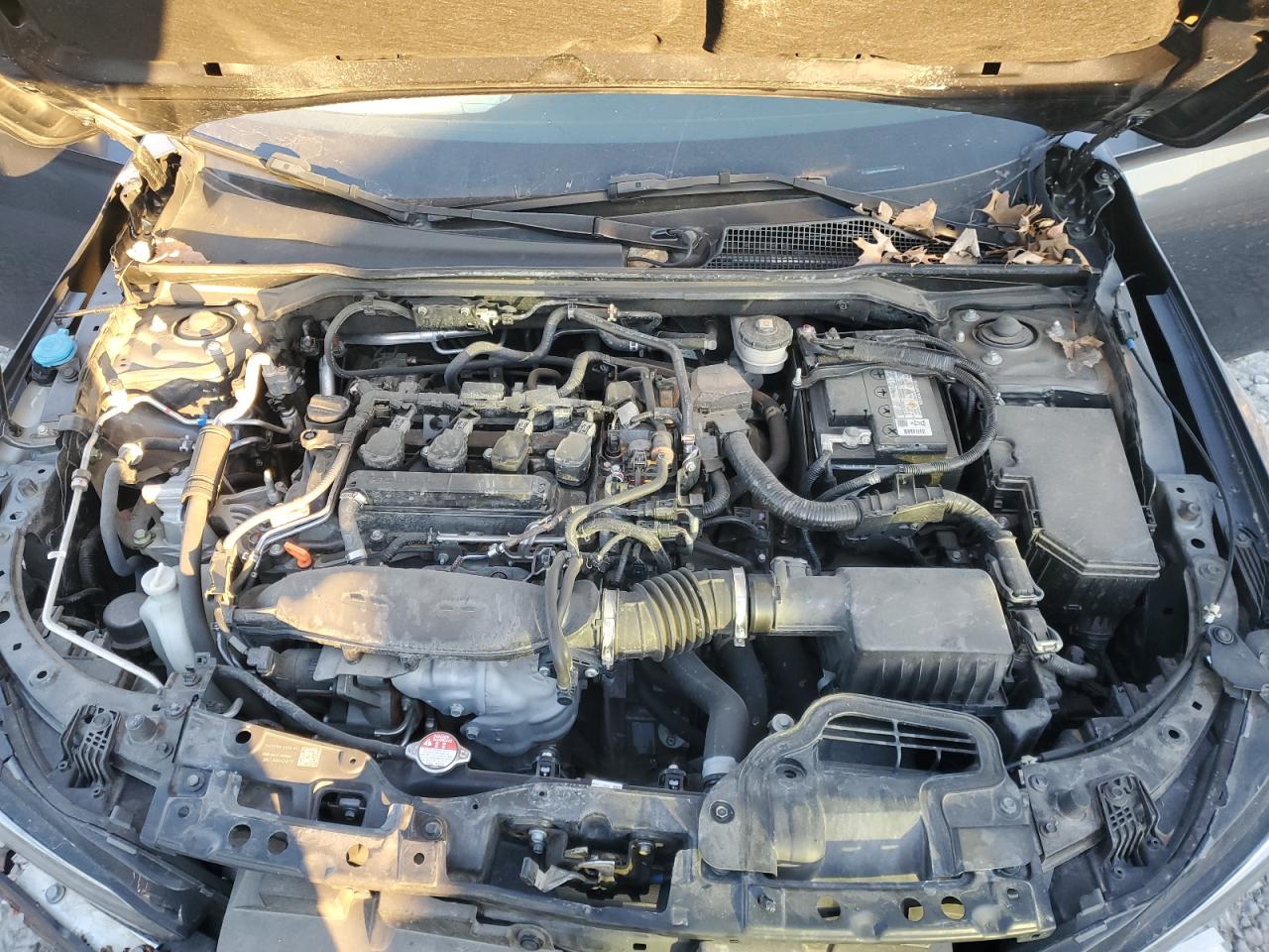 2023 HONDA CIVIC EX VIN:2HGFE1F74PH309306