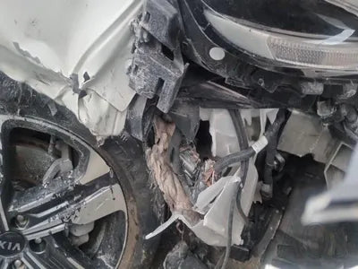 2021 Kia Sorento KNARM81GDMA001365 VIN:KNARM81GDMA001365
