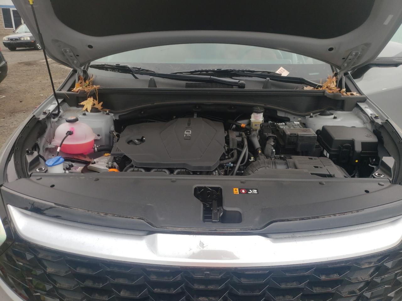 2024 KIA SPORTAGE SX PRESTIGE VIN:5XYK5CDF2RG226350