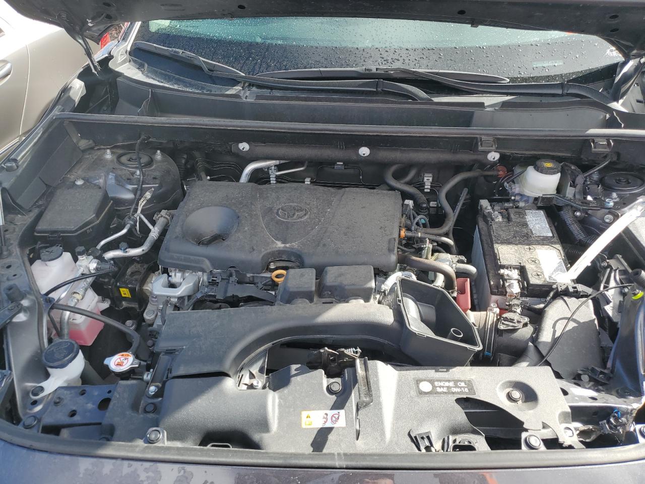 2024 TOYOTA RAV4 XLE PREMIUM VIN:2T3A1RFV5RW434819