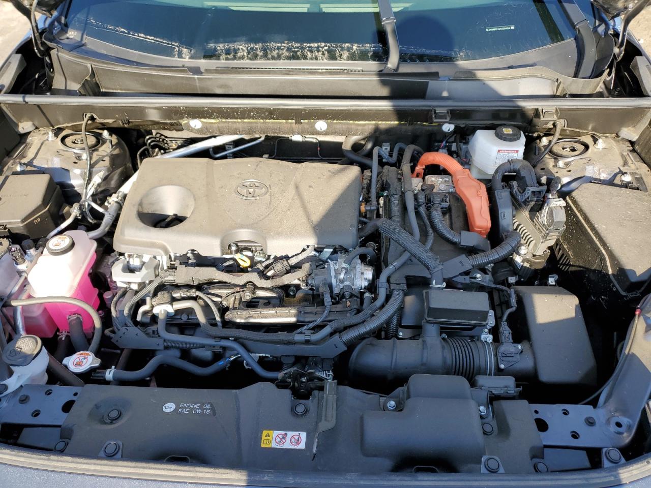 2024 TOYOTA RAV4 LE VIN:JTMMWRFV6RD234804