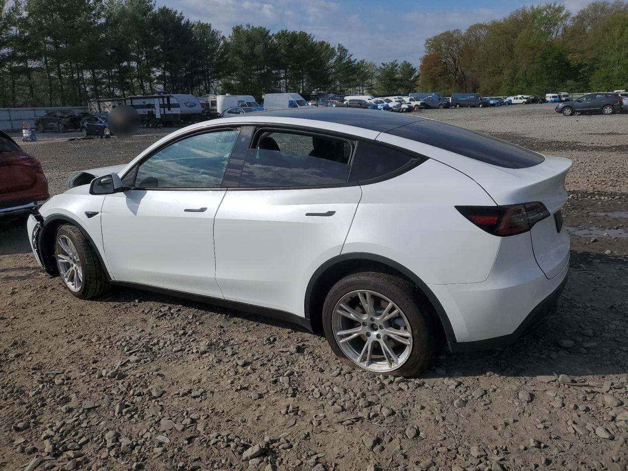 2023 TESLA MODEL Y  VIN:7SAYGDEE3PA099824