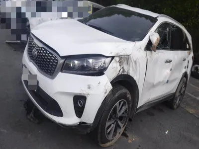 2017 Kia Sorento KNAPG81ABJA412119 VIN:KNAPG81ABJA412119