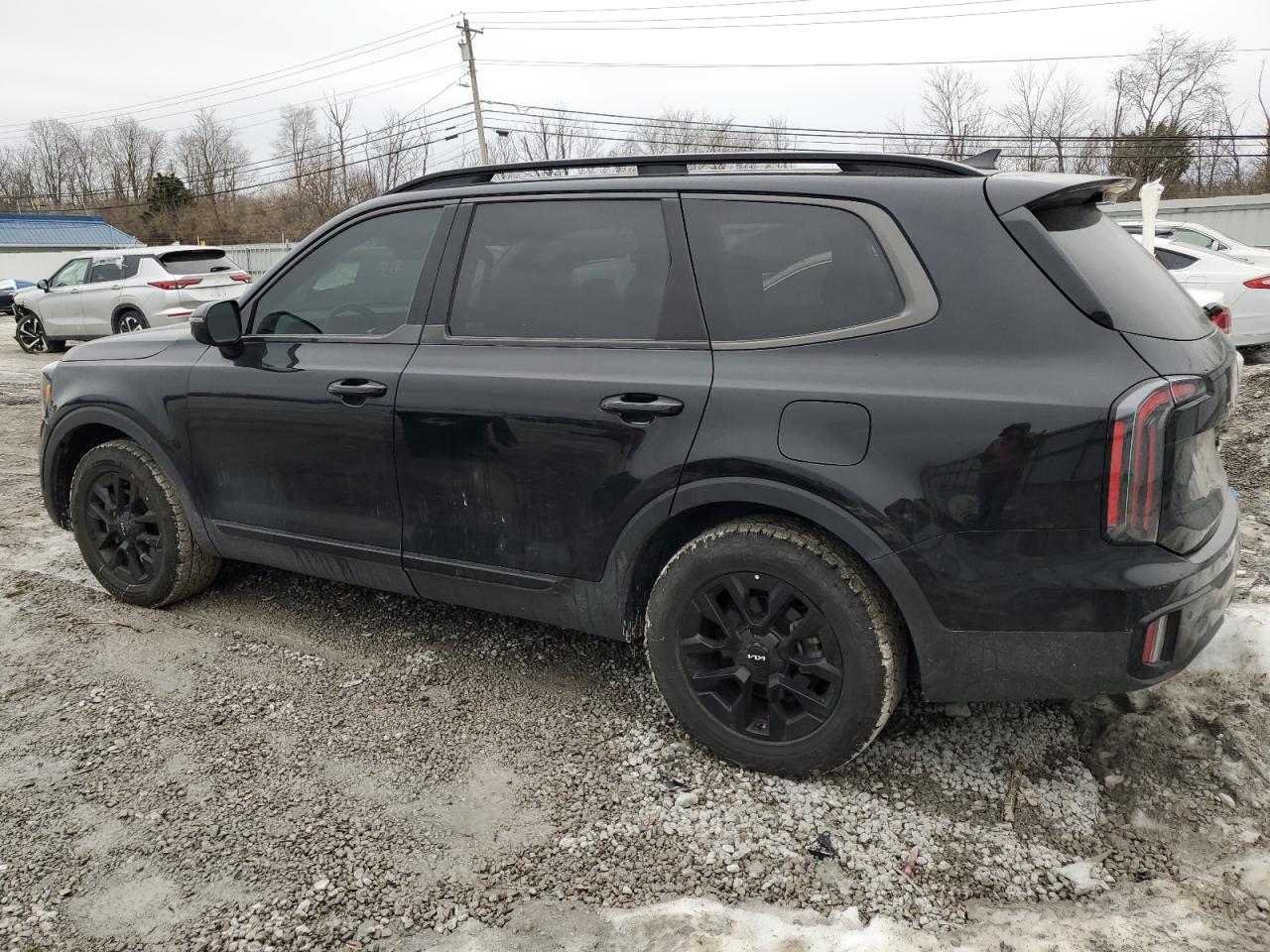 2024 KIA TELLURIDE SX VIN:5XYP5DGC1RG452456