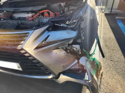 2019 Lexus NX 300 JTJDJRDZ5L2128686 VIN:JTJDJRDZ5L2128686