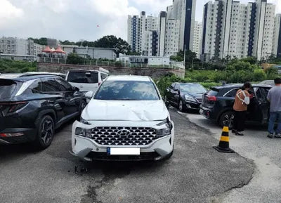 2021 Hyundai Santa FE KMHS281LGMU385620 VIN:KMHS281LGMU385620