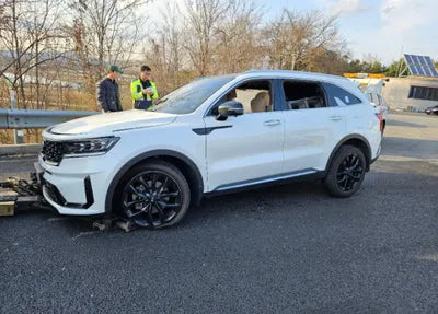 2021 Kia Sorento KNARH81BGMA066156 VIN:KNARH81BGMA066156