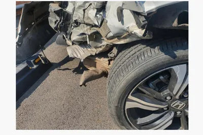 2017 Honda Civic 19XFC2670HE300013 VIN:19XFC2670HE300013