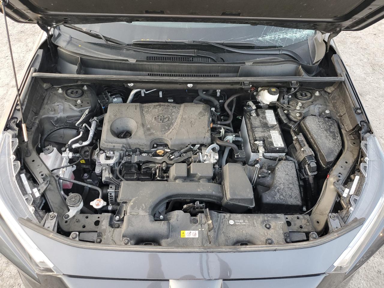 2023 TOYOTA RAV4 XLE VIN:2T3P1RFV6PC327853