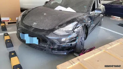 2019 Tesla Model 3 VIN: