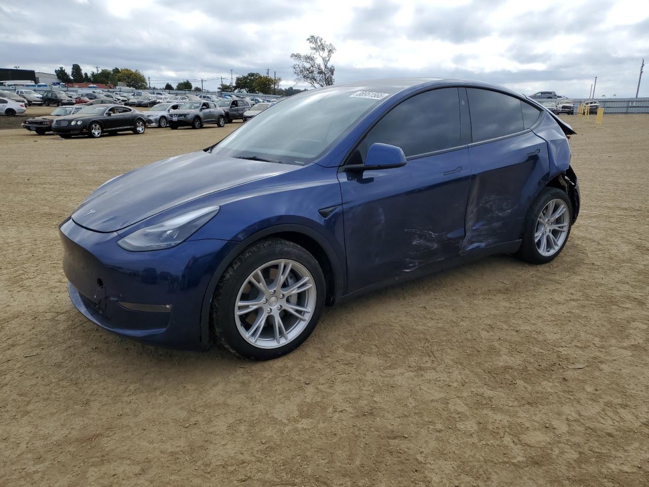 2023 TESLA MODEL Y  VIN:7SAYGDEEXPF900882