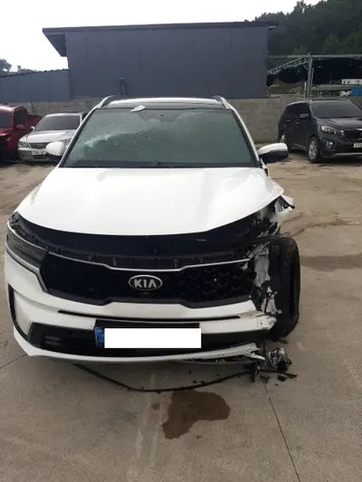 2021 Kia Sorento KNARK81BGMA103765 VIN:KNARK81BGMA103765