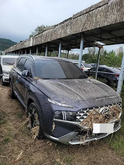 2020 Hyundai Santa FE VIN: