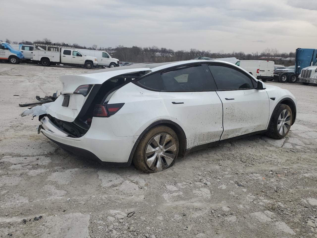 2023 TESLA MODEL Y  VIN:7SAYGDEE2PA145160