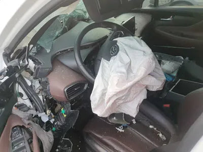 2020 Hyundai Santa FE KMHS581ABLU218906 VIN:KMHS581ABLU218906