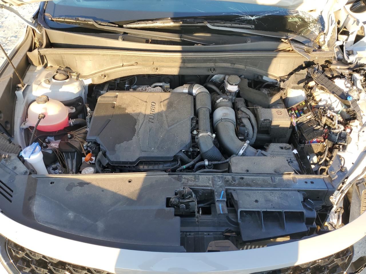 2023 KIA SORENTO SX VIN:5XYRKDLF0PG189486