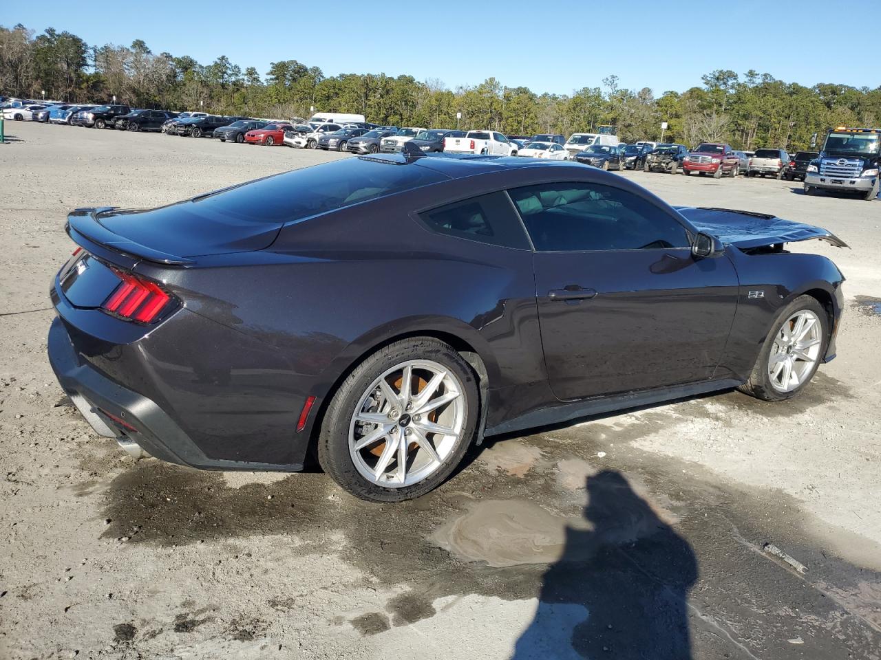 2024 FORD MUSTANG GT VIN:KNAGT4L35G5098732