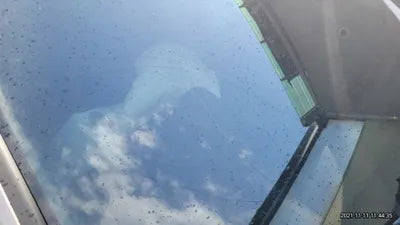 2015 Volkswagen Golf WVWZZZAUZFW333046 VIN:WVWZZZAUZFW333046