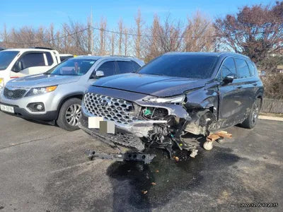 2021 Hyundai Santa FE KMHS381HGMU349664 VIN:KMHS381HGMU349664