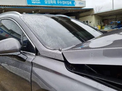 2019 Hyundai Santa FE KMHS381CBKU124651 VIN:KMHS381CBKU124651