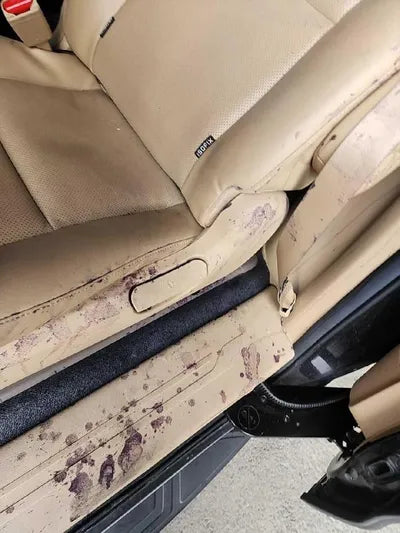 2017 Kia Carnival VIN: