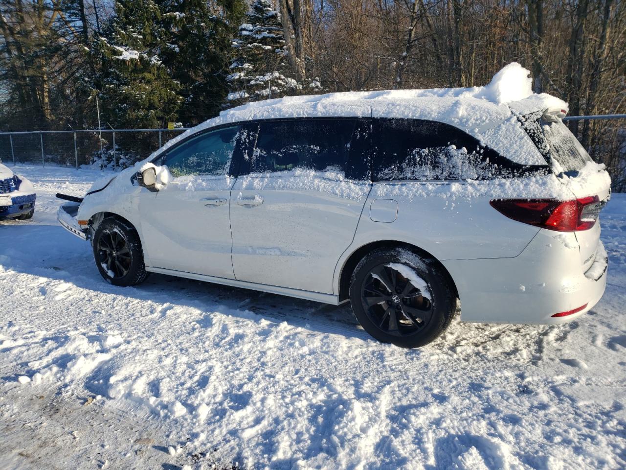 2024 HONDA ODYSSEY SPORT VIN:1FMCU0D78BKC69956