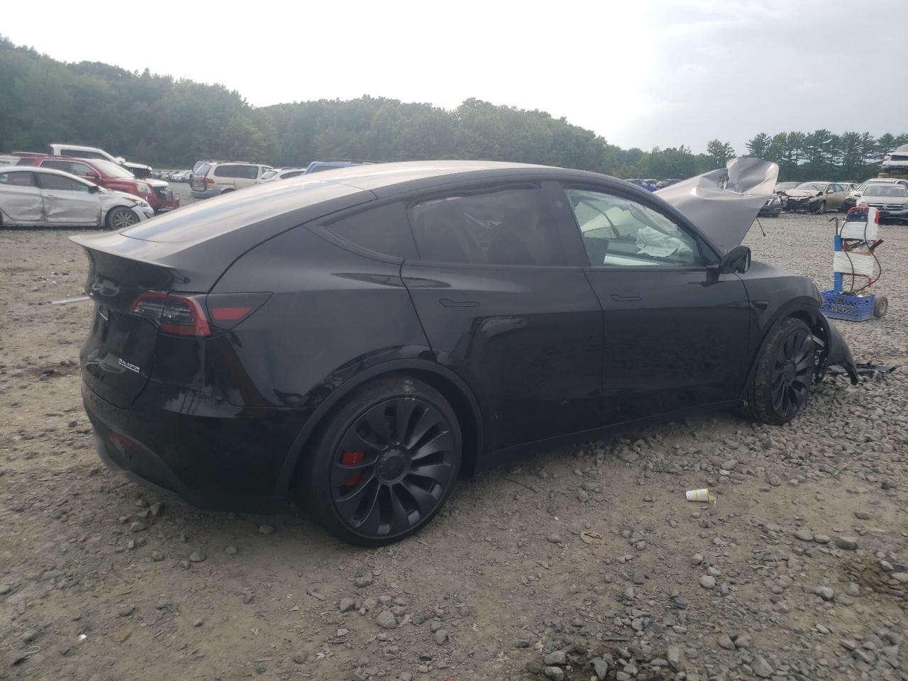 2024 TESLA MODEL Y  VIN:7SAYGDEF4RA295489