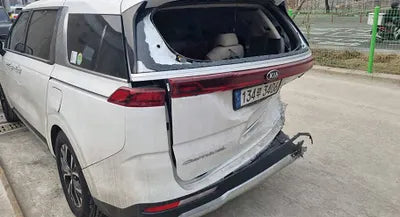 2021 Kia Carnival KNANC81BBMS057836 VIN:KNANC81BBMS057836