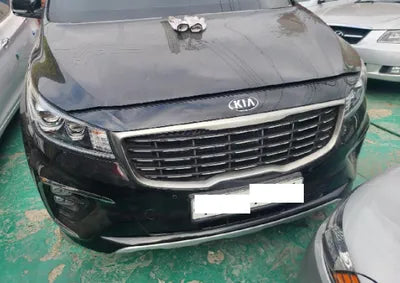 2019 Kia Carnival KNAME81ABKS500115 VIN:KNAME81ABKS500115